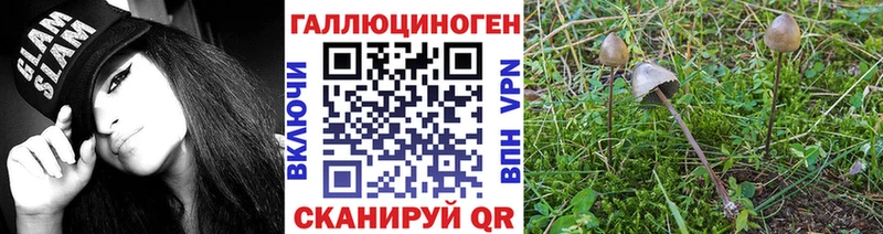 Галлюциногенные грибы Psilocybine cubensis  Купить где  Кимры 